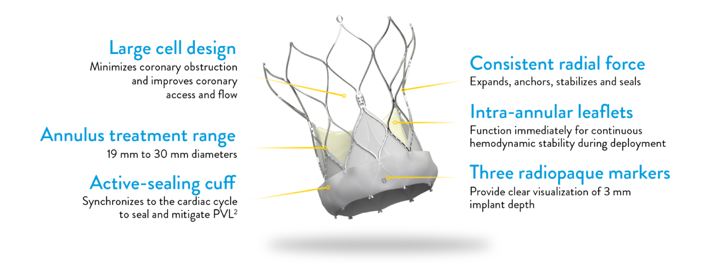 Abbott Navitor TAVI System